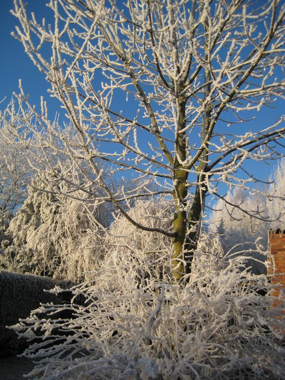 B&B Het Uilennest Bocholt Bagian luar foto