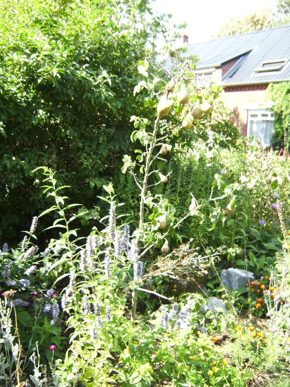 B&B Het Uilennest Bocholt Bagian luar foto