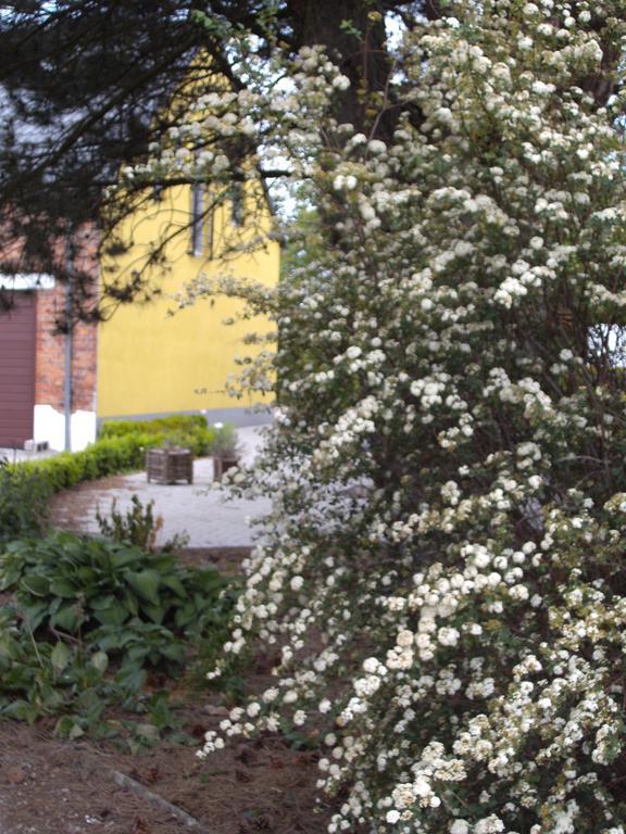 B&B Het Uilennest Bocholt Bagian luar foto